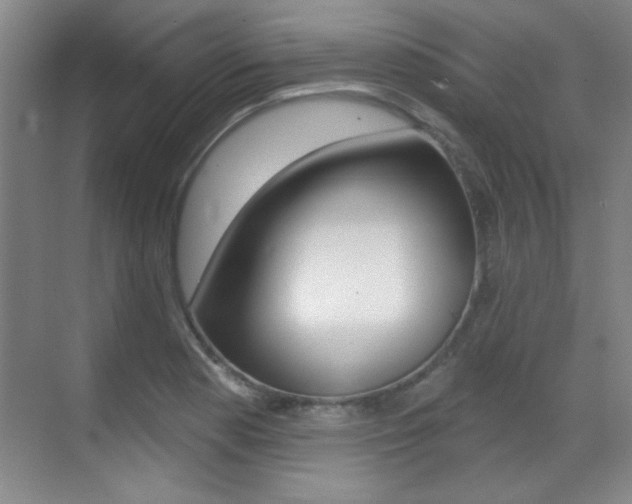 X0000071941177200607071005