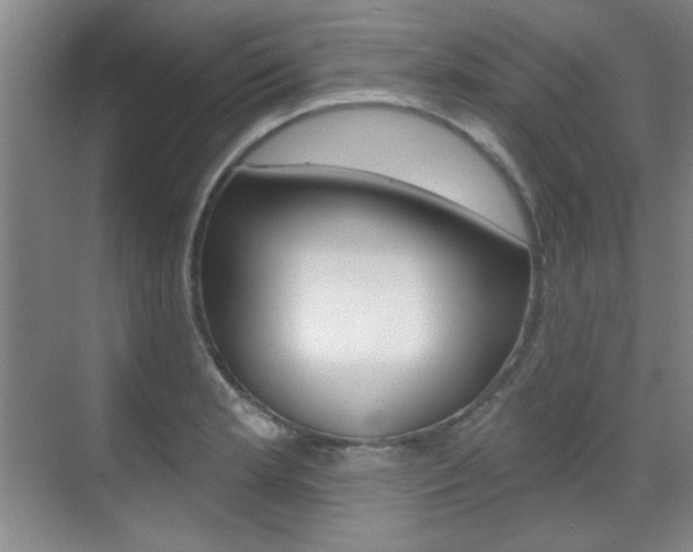 X0000071941181200607071005