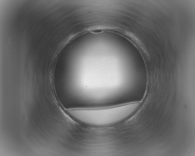 X0000071941185200607071005