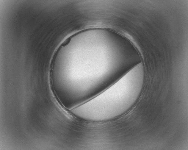 X0000071941187200607071005