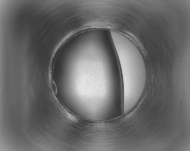 X0000071941188200607071005