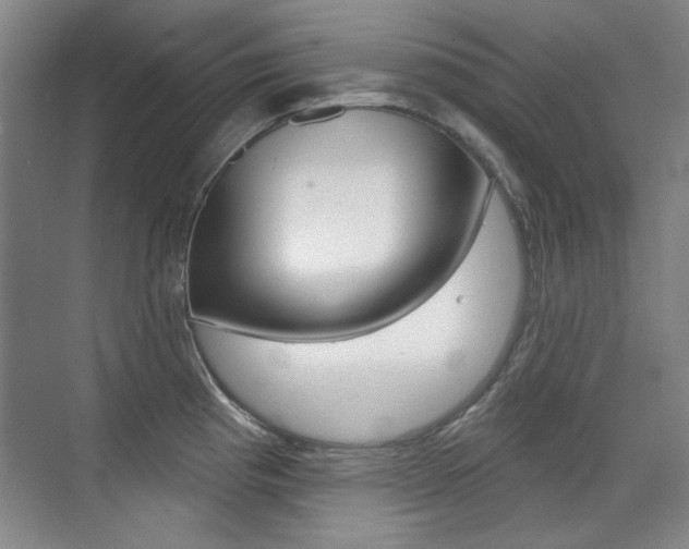 X0000071941193200607071005