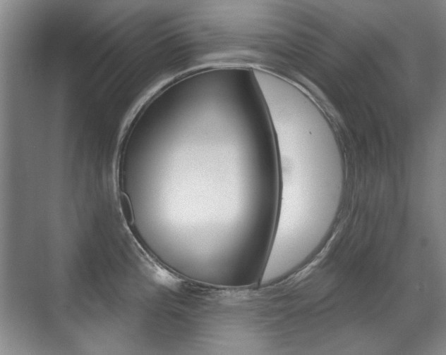 X0000071941196200607071005