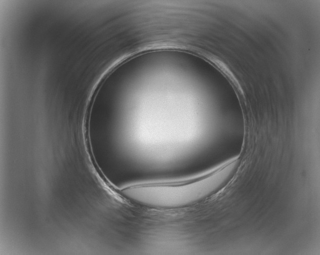 X0000071941197200607071005