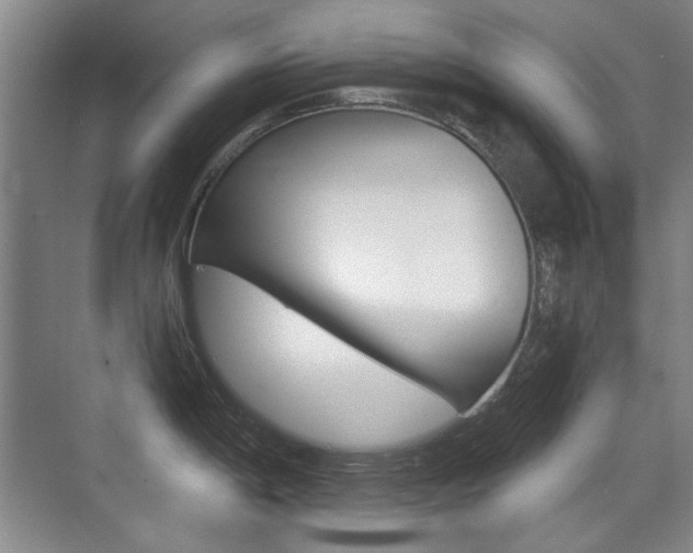 X0000071941198200607071005