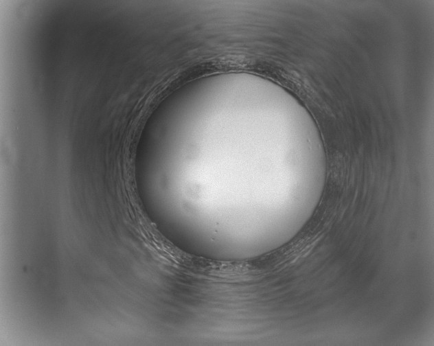 X0000071941201200607071004