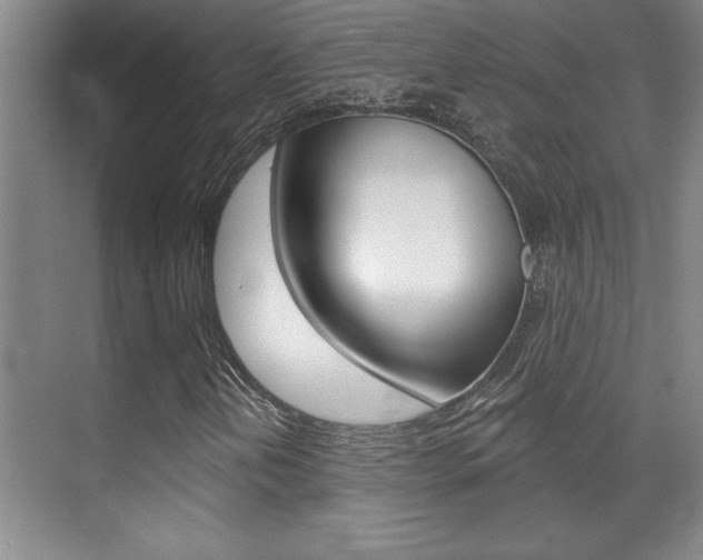 X0000071941202200607071004