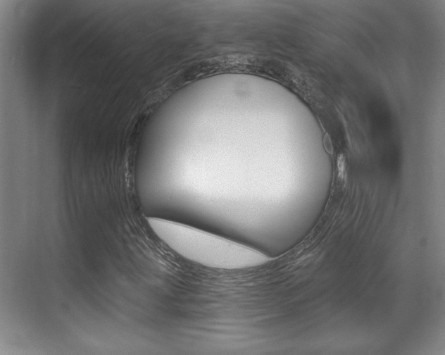 X0000071941203200607071004