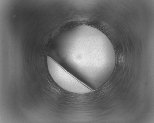 X0000071941204200607071004