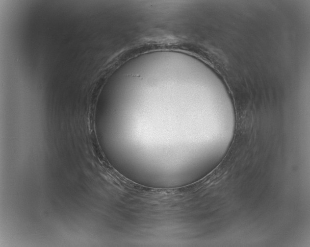 X0000071941205200607071004
