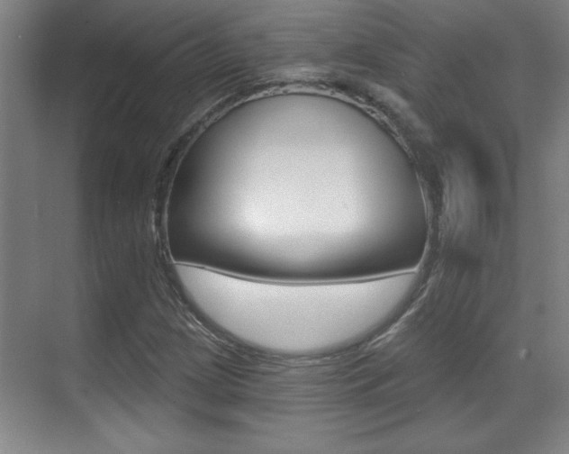 X0000071941209200607071004