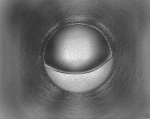 X0000071941210200607071004
