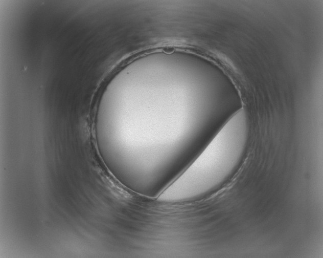 X0000071941212200607071004