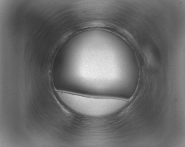 X0000071941225200607071005