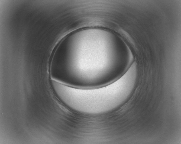 X0000071941226200607071005