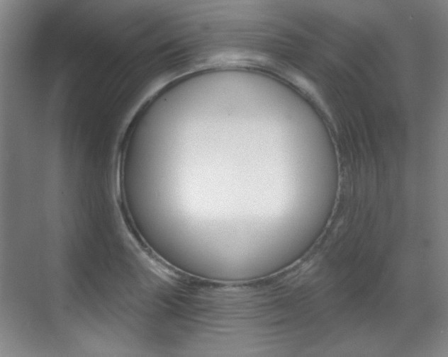 X0000071941227200607071005
