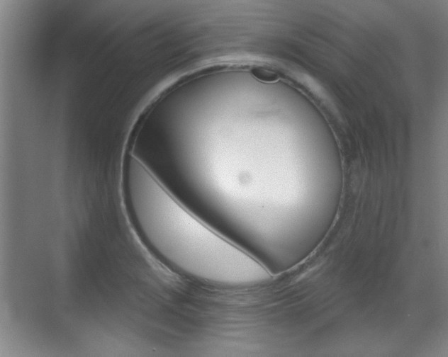 X0000071941229200607071005