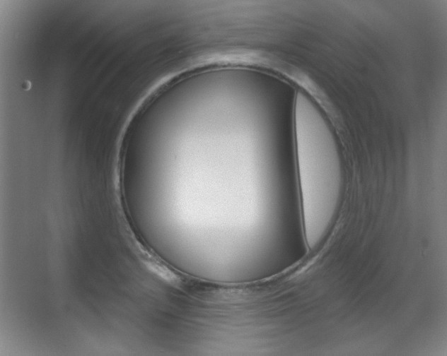 X0000071941232200607071005