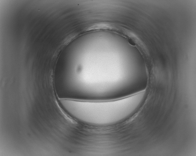 X0000071941233200607071005
