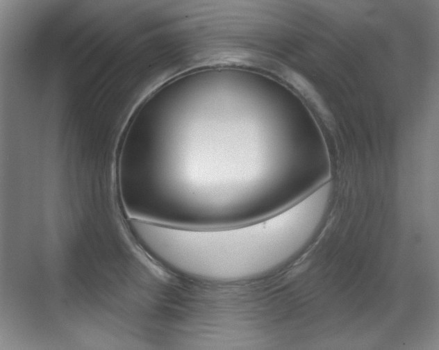 X0000071941234200607071005