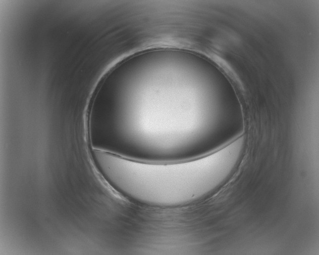 X0000071941238200607071005