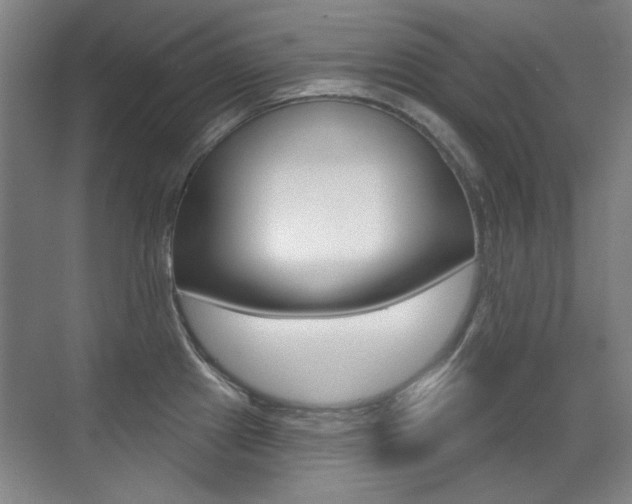 X0000071941241200607071005