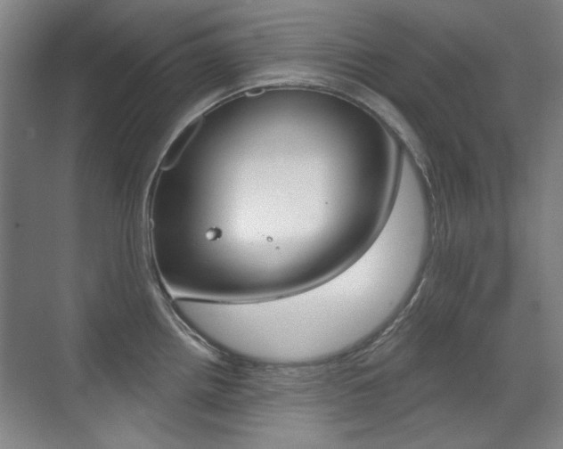 X0000071941242200607071005
