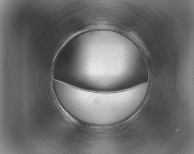 X0000071941244200607071005