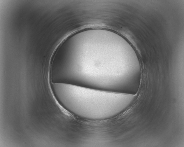 X0000071941245200607071005