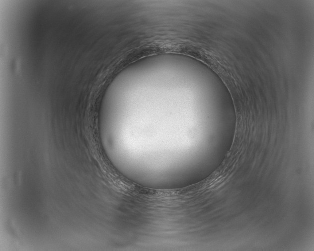 X0000071941249200607071004