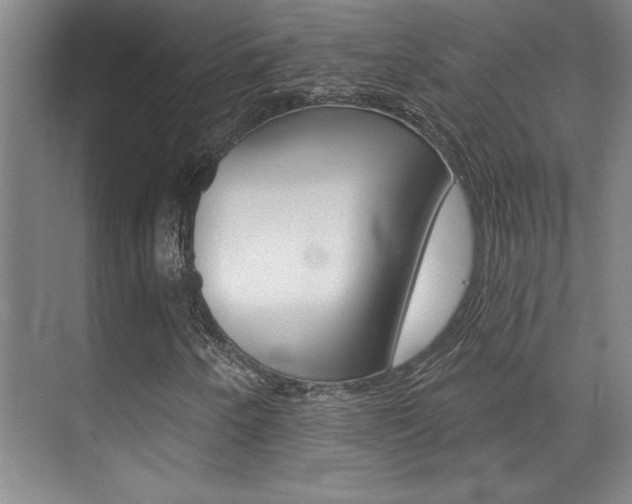 X0000071941250200607071004