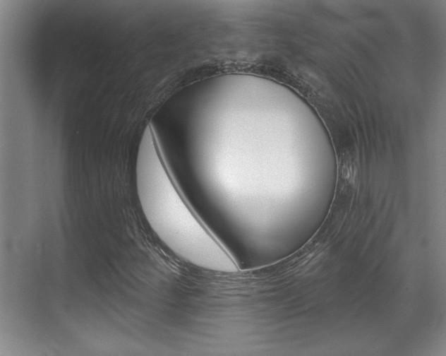 X0000071941252200607071004