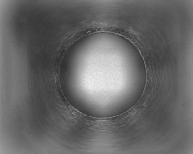X0000071941253200607071004