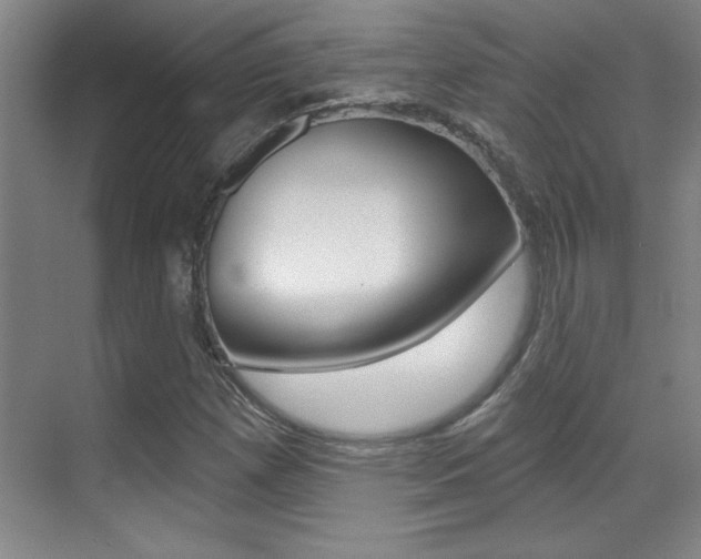 X0000071941257200607071004