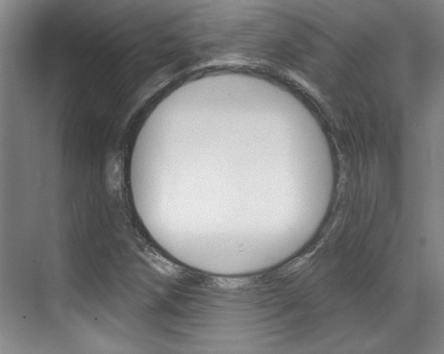 X0000071941258200607071004