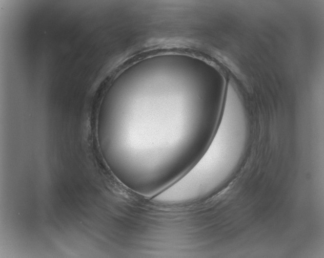 X0000071941261200607071004