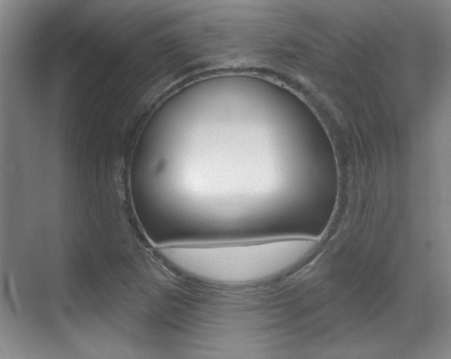 X0000071941265200607071004