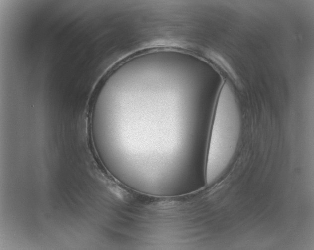 X0000071941268200607071004