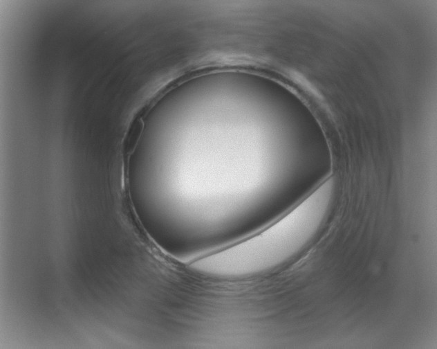 X0000071941269200607071004