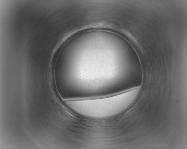 X0000071941270200607071004