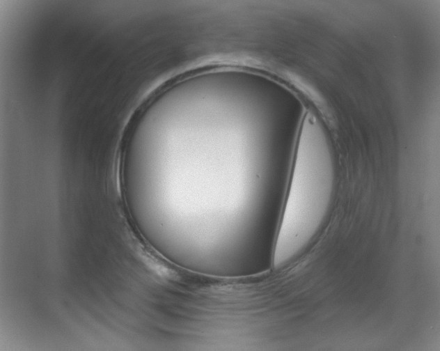 X0000071941272200607071004