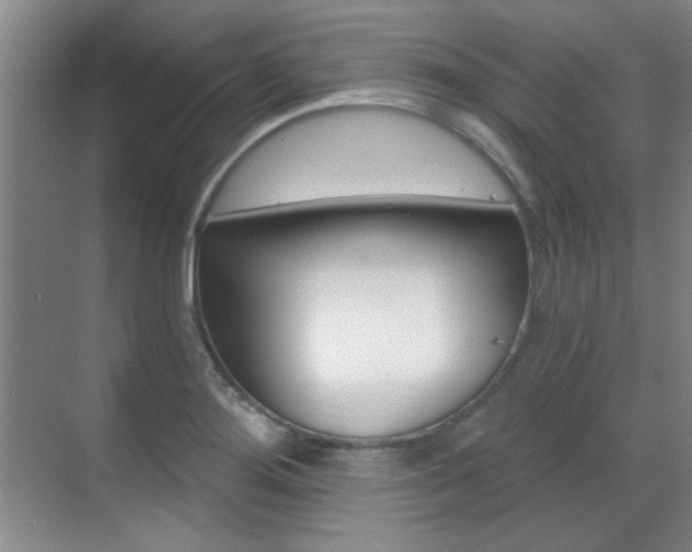 X0000071941276200607071004