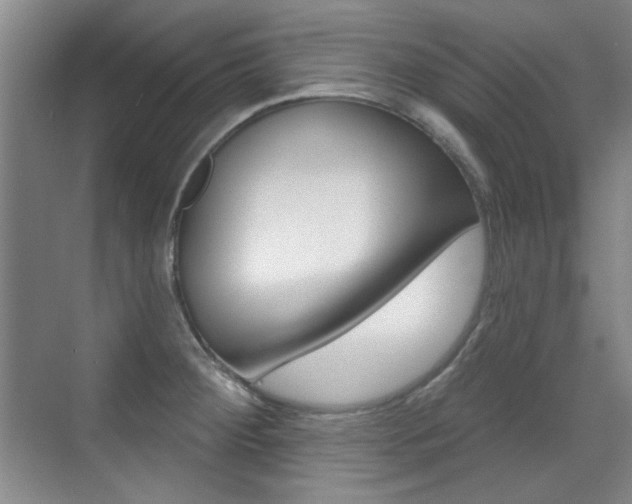 X0000071941284200607071004