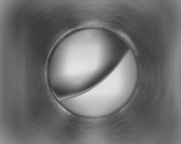 X0000071941288200607071004