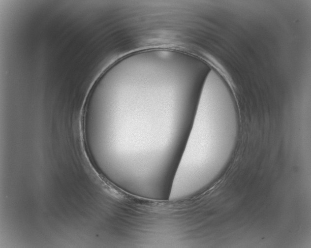 X0000071941291200607071004