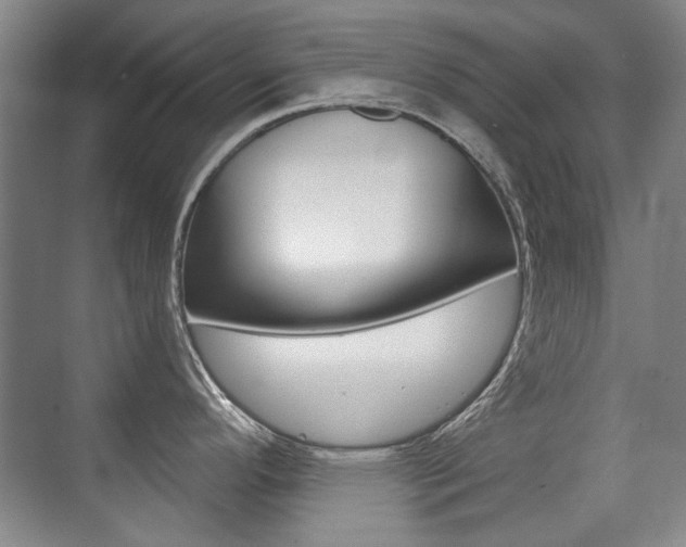 X0000071941296200607071003