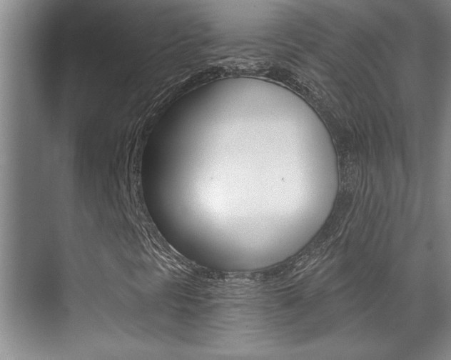 X0000071941297200607071003