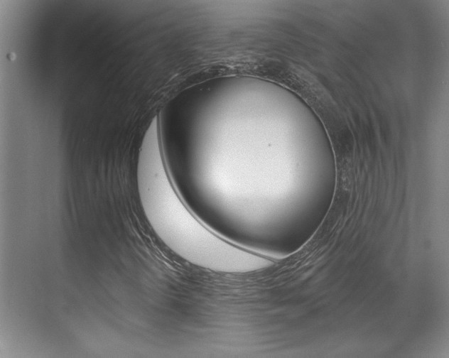 X0000071941298200607071003