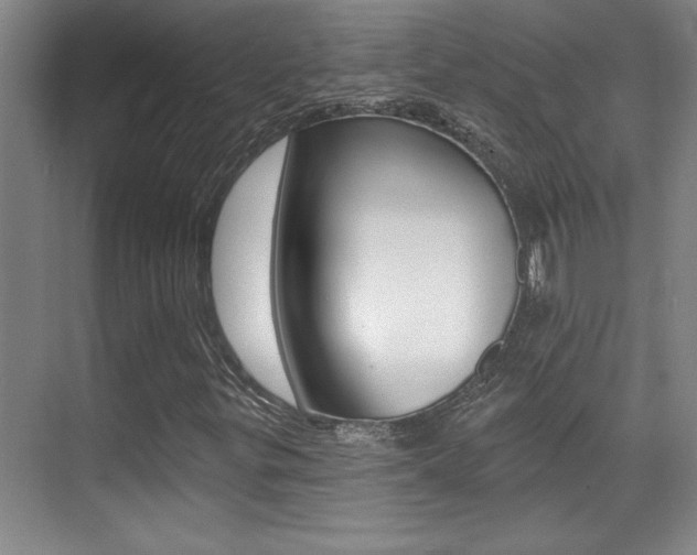 X0000071941299200607071003