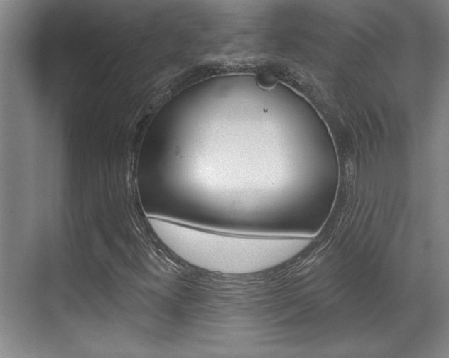 X0000071941300200607071003